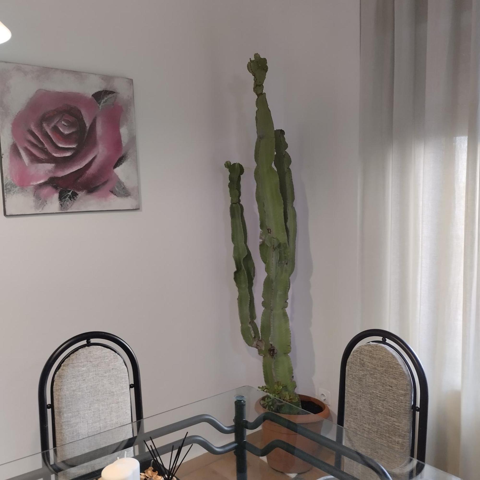 Apartamento Esperanza De La Yedra Jerez de la Frontera Kültér fotó